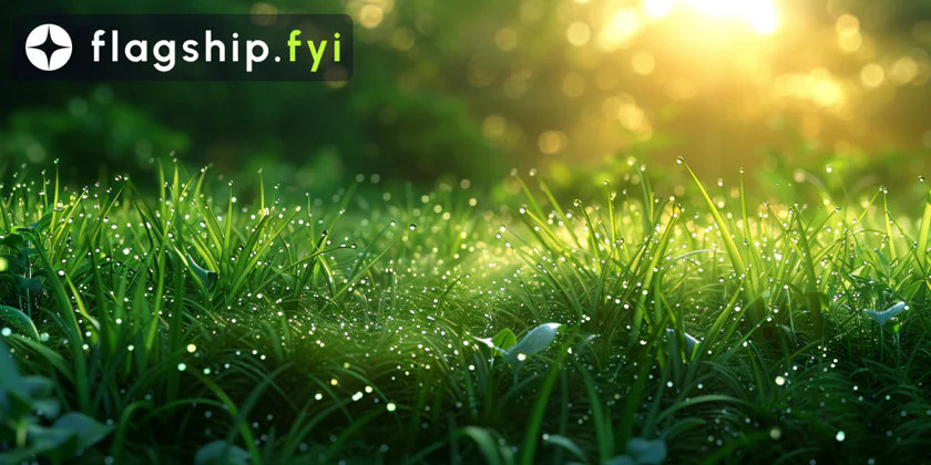 Everything You Need to Know About GetGrass and Its Airdrop